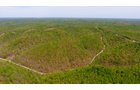 Property photo 5 - LAND AUCTION - 1,682+/- ACRES OFFERED IN 17 TRACTS IN LEWIS & GREENUP COUNTIES, KENTUCKY